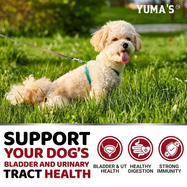 170 Cranberry Supplement Treats