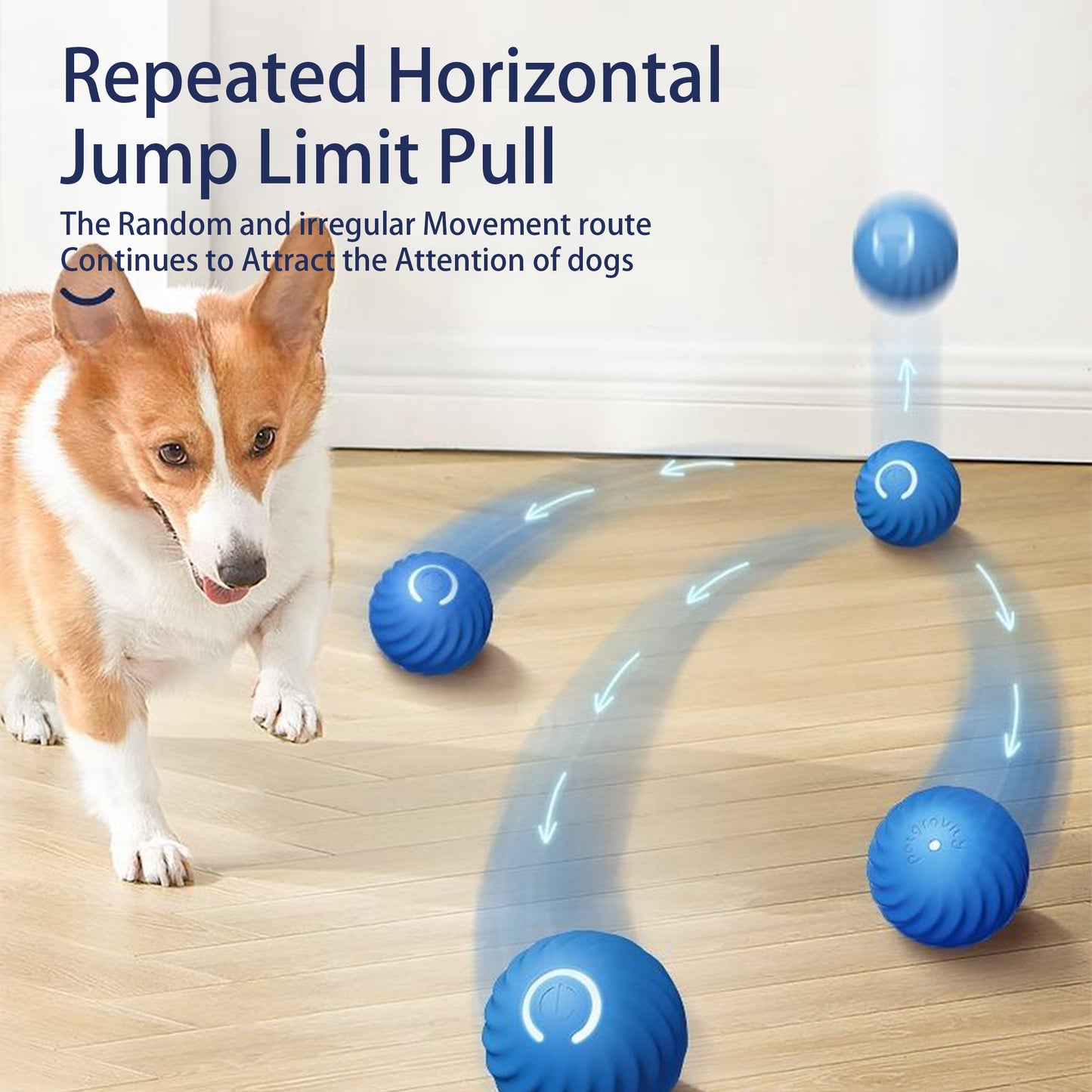 Dog Interactive Bouncing Ball