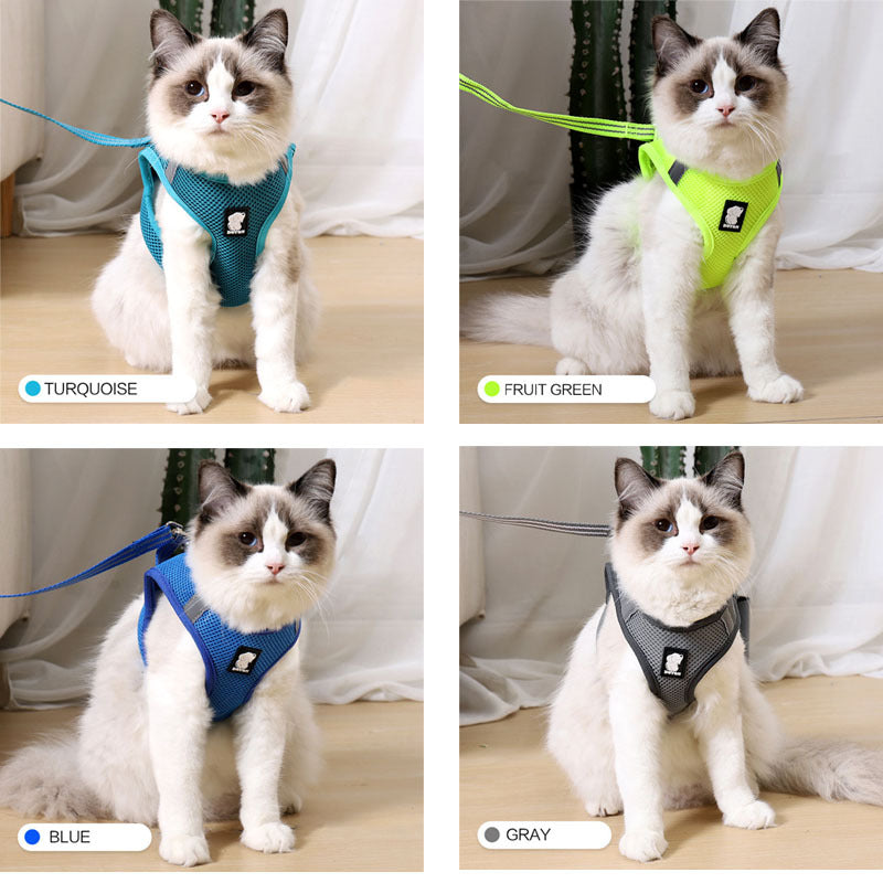 Anti-Strike Cat Harness