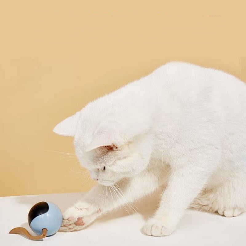 Pet LED Rotating Ball