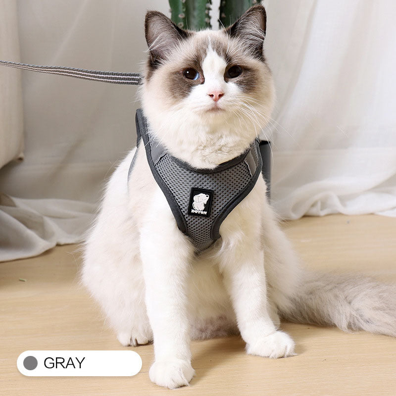 Anti-Strike Cat Harness