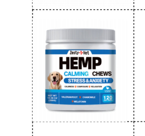 Daily Wellness & Nutrition Support