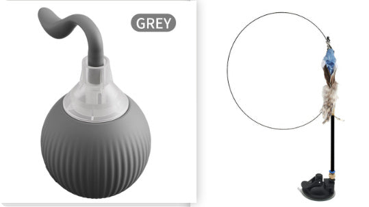 Interactive Pet Toy Ball