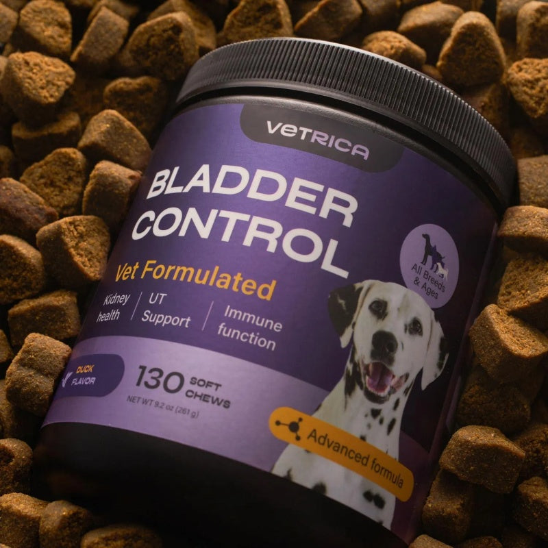 Dog UTI Treatment