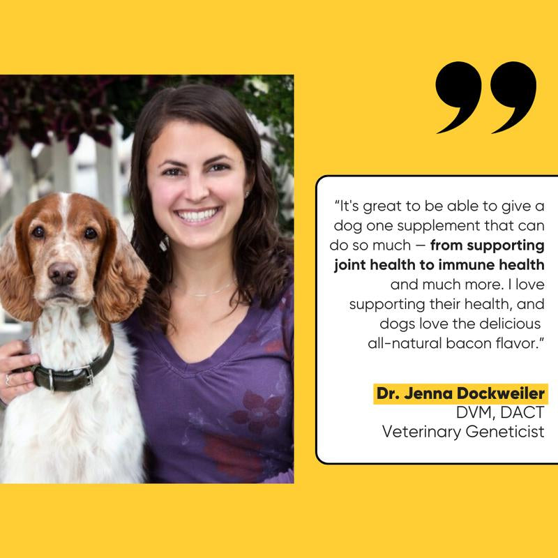 Embark All-Natural Bacon Chews for Dogs – Enhance Coat Shine, Joint Health & Immunity with Vet-Approved Formula