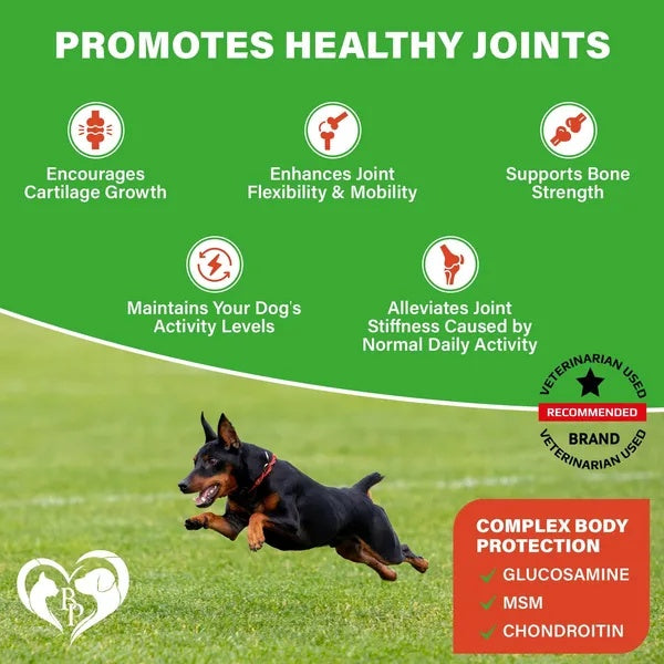 Dog Hip & Joint Supplement