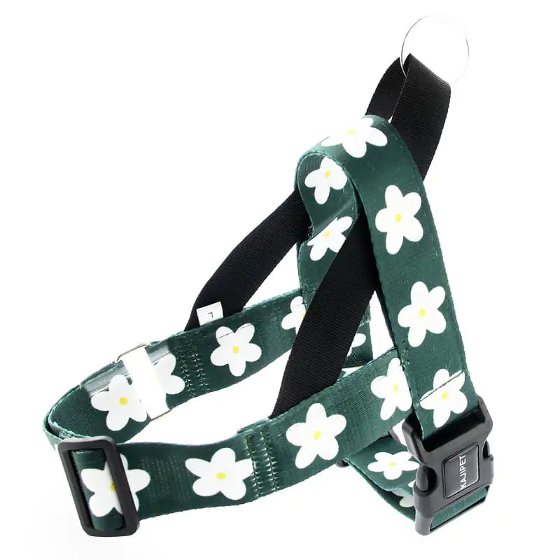 Adult Dog Leash