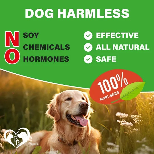 Dog Hip & Joint Supplement