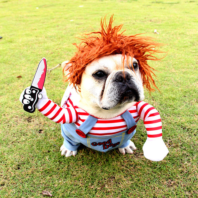 Spooky & Cute Pet Halloween Costume