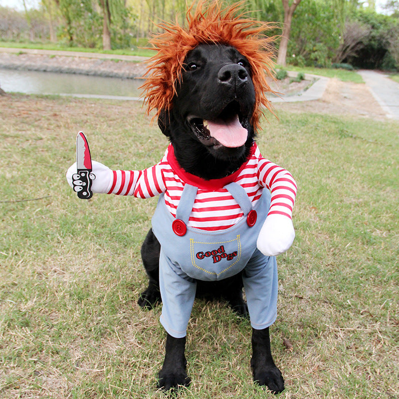 Spooky & Cute Pet Halloween Costume