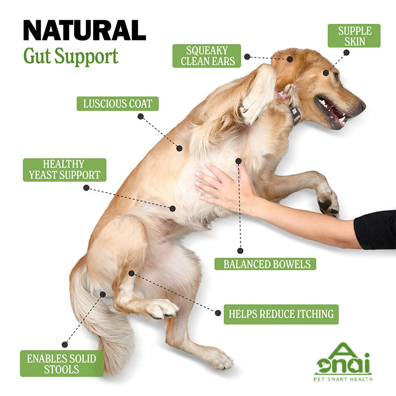 OEM Probiotics Chews for Pets
