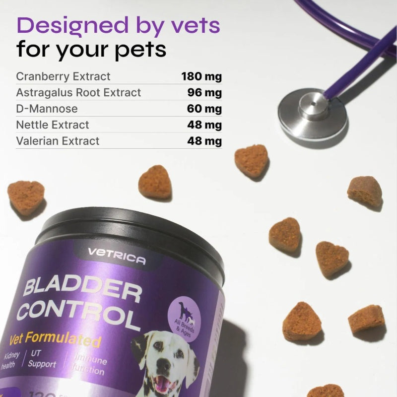 Dog UTI Treatment