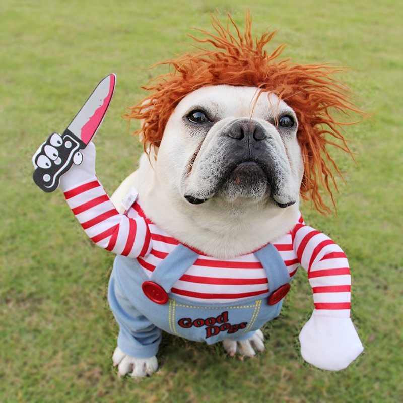Spooky & Cute Pet Halloween Costume