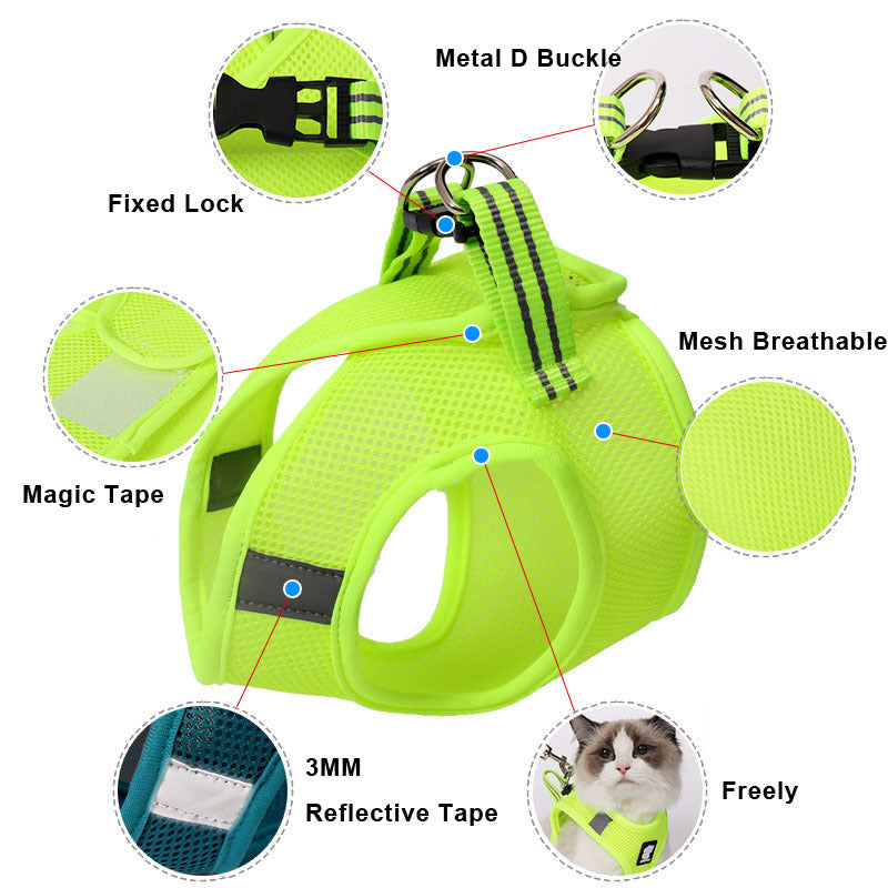 Anti-Strike Cat Harness