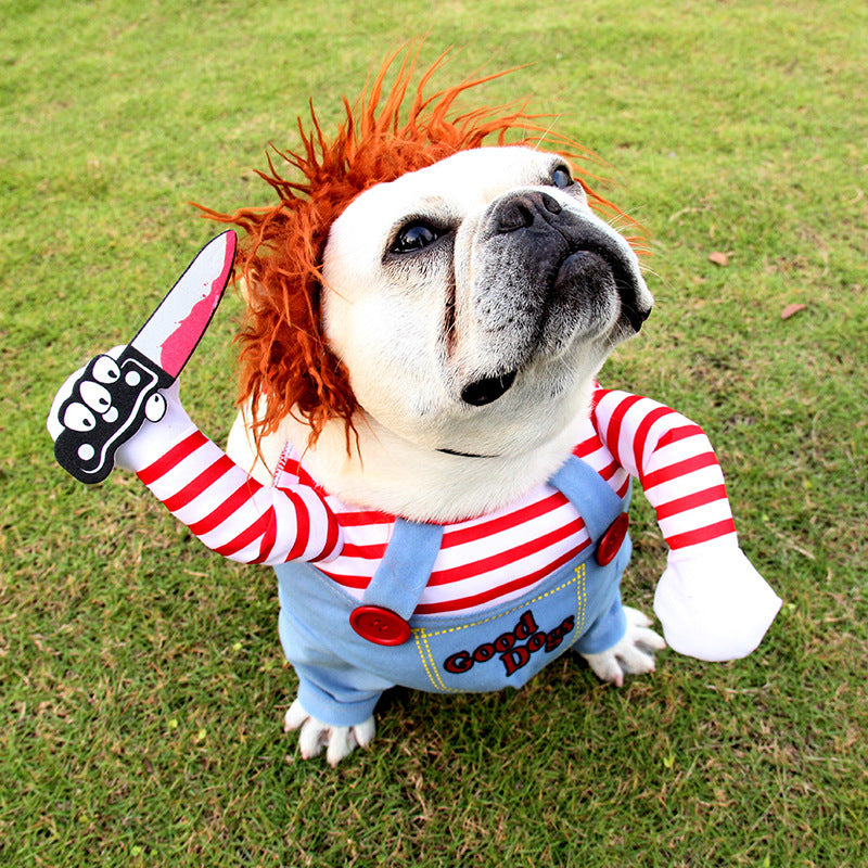 Spooky & Cute Pet Halloween Costume