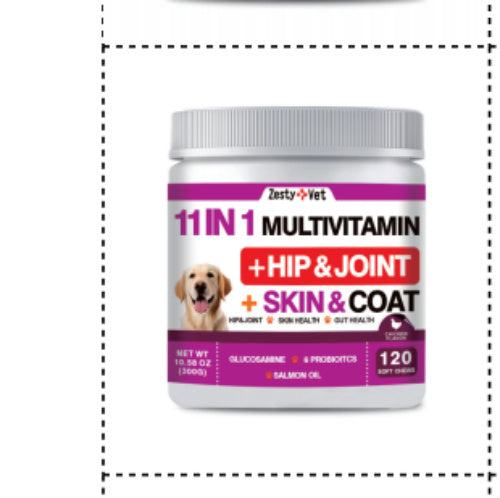 Daily Wellness & Nutrition Support
