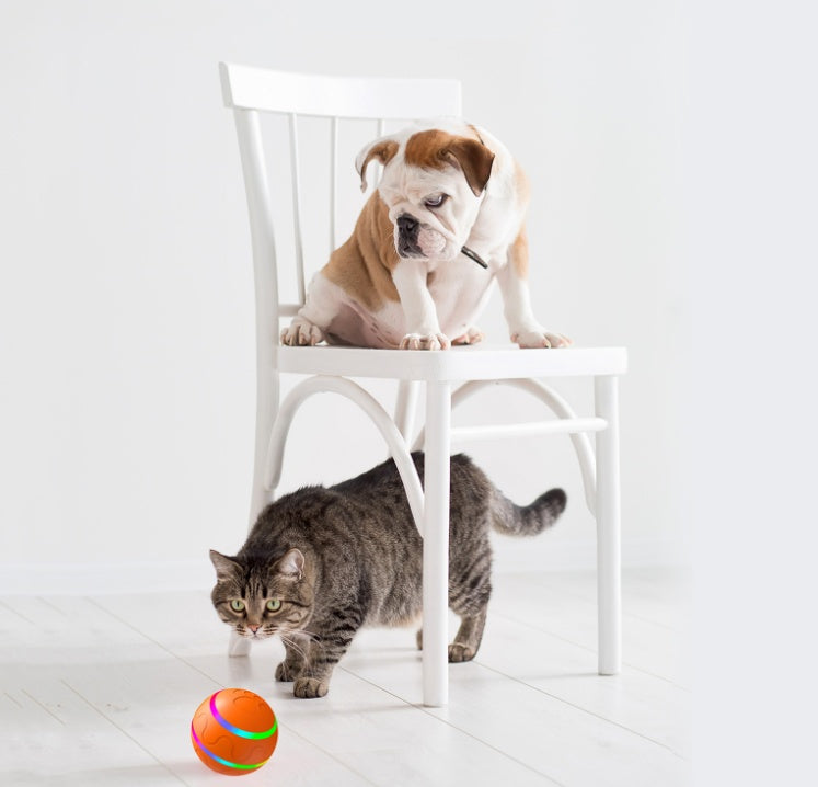 USB Cat Wicked Ball
