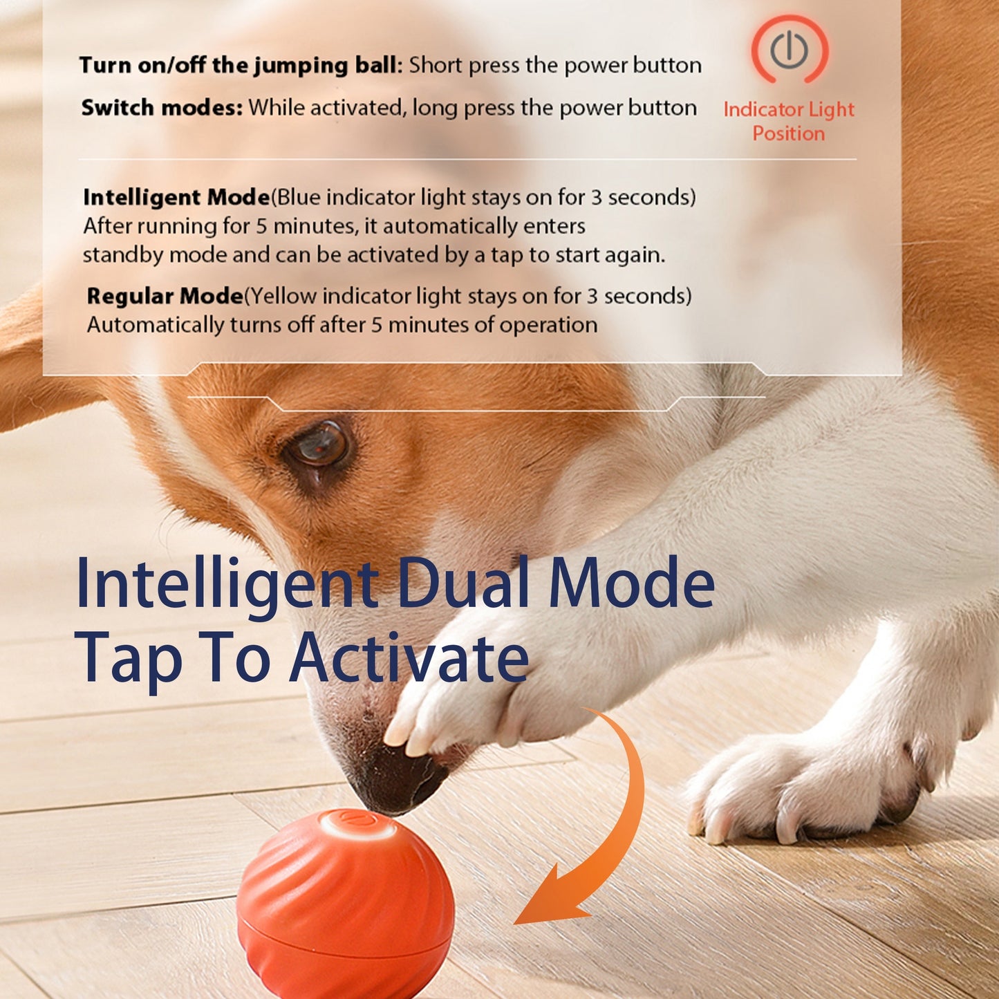 Dog Interactive Bouncing Ball