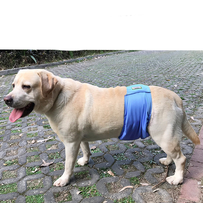 Washable Sanitary Diapers