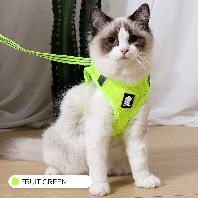Anti-Strike Cat Harness