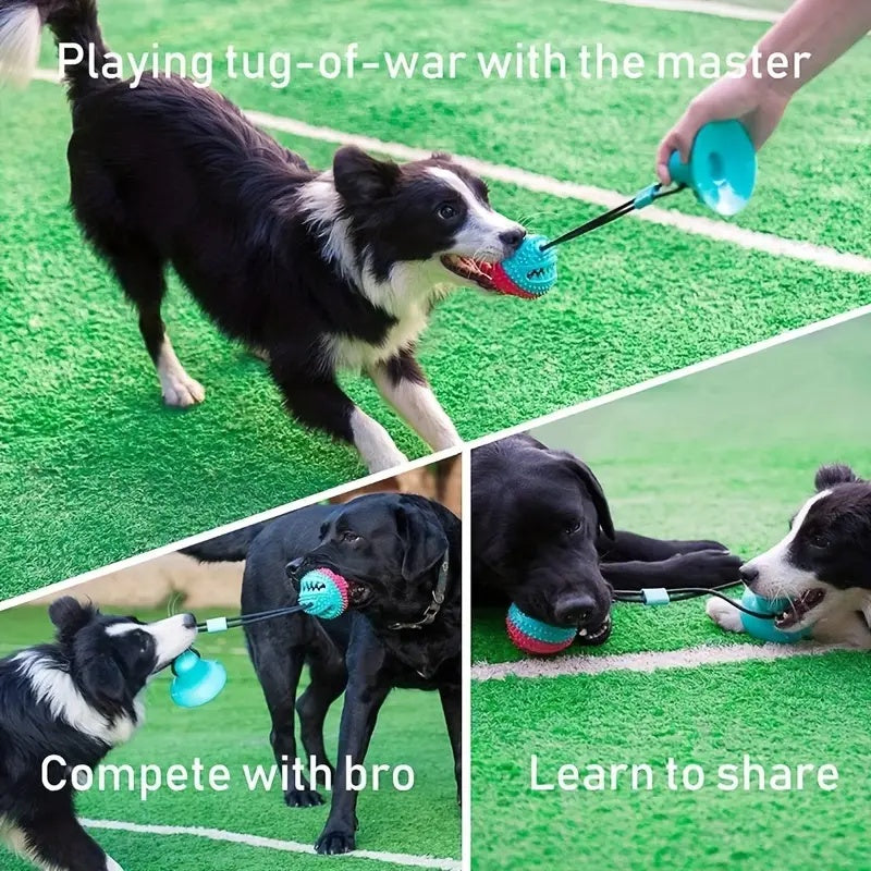 Pet Toy for Aggressive Chewers