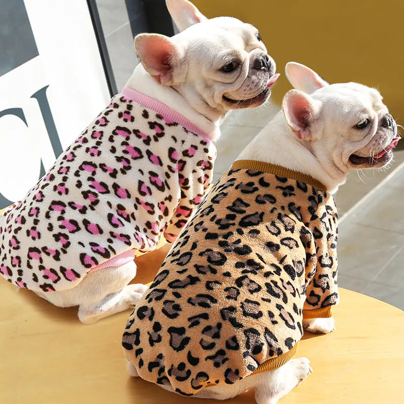 Pet Jackets for Autumn Winter