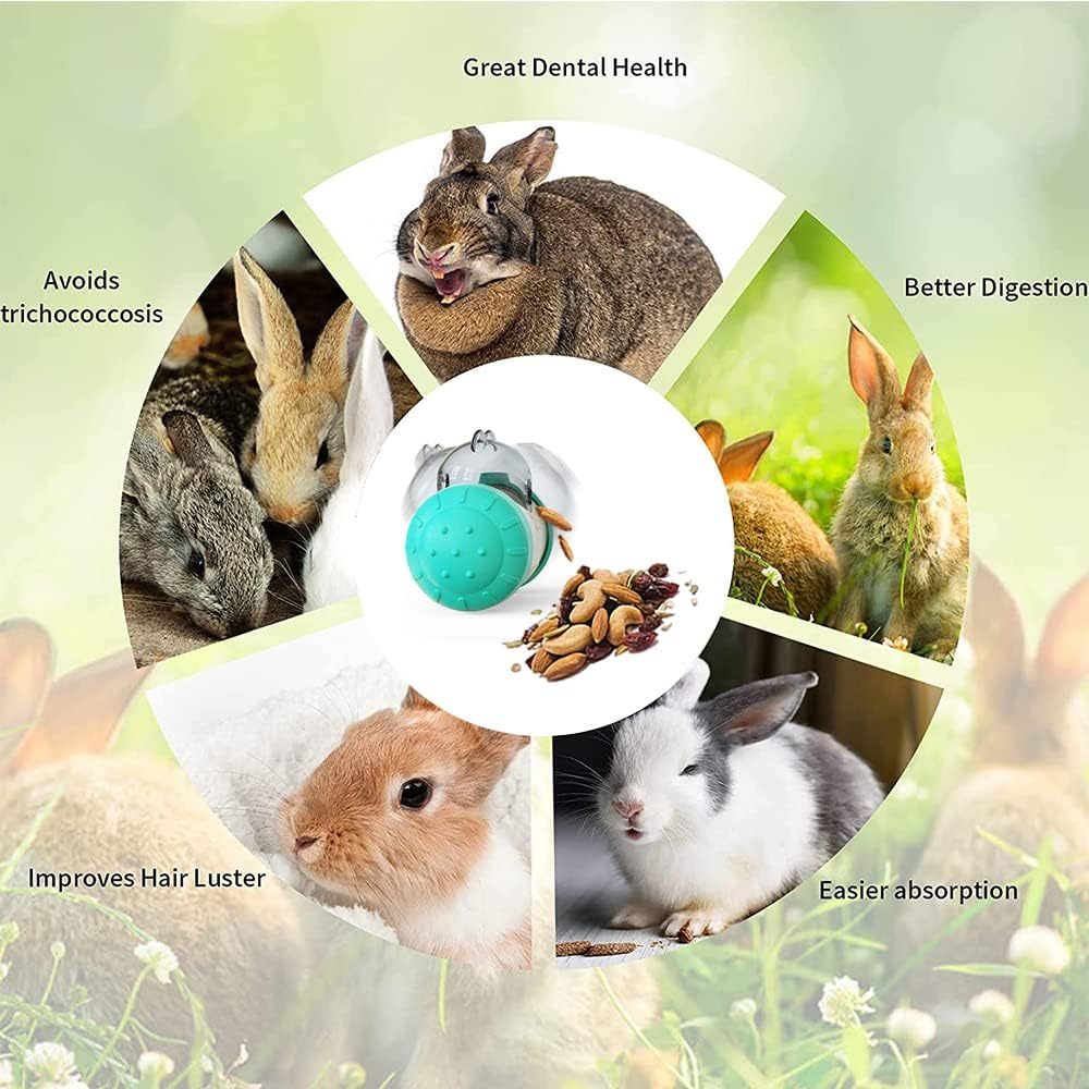 Pet Feeder Enrichment Toy