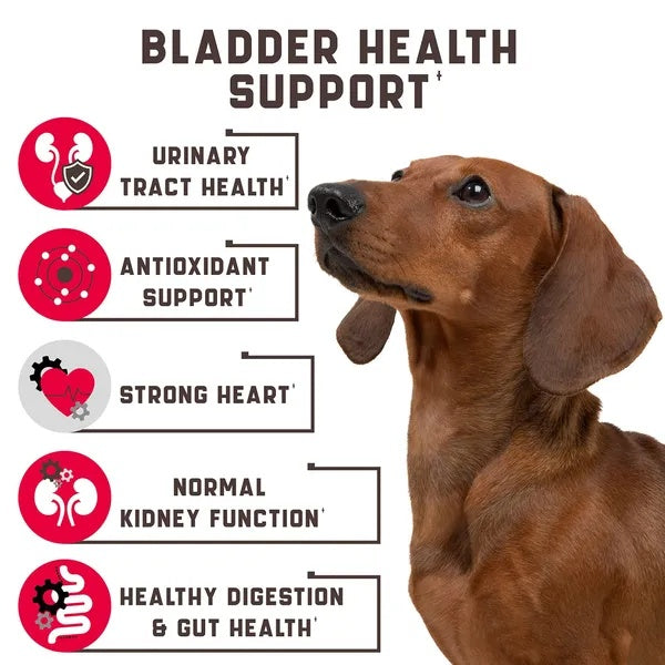 Natural Aid for Bladder & Urinary Health