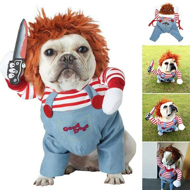 Spooky & Cute Pet Halloween Costume