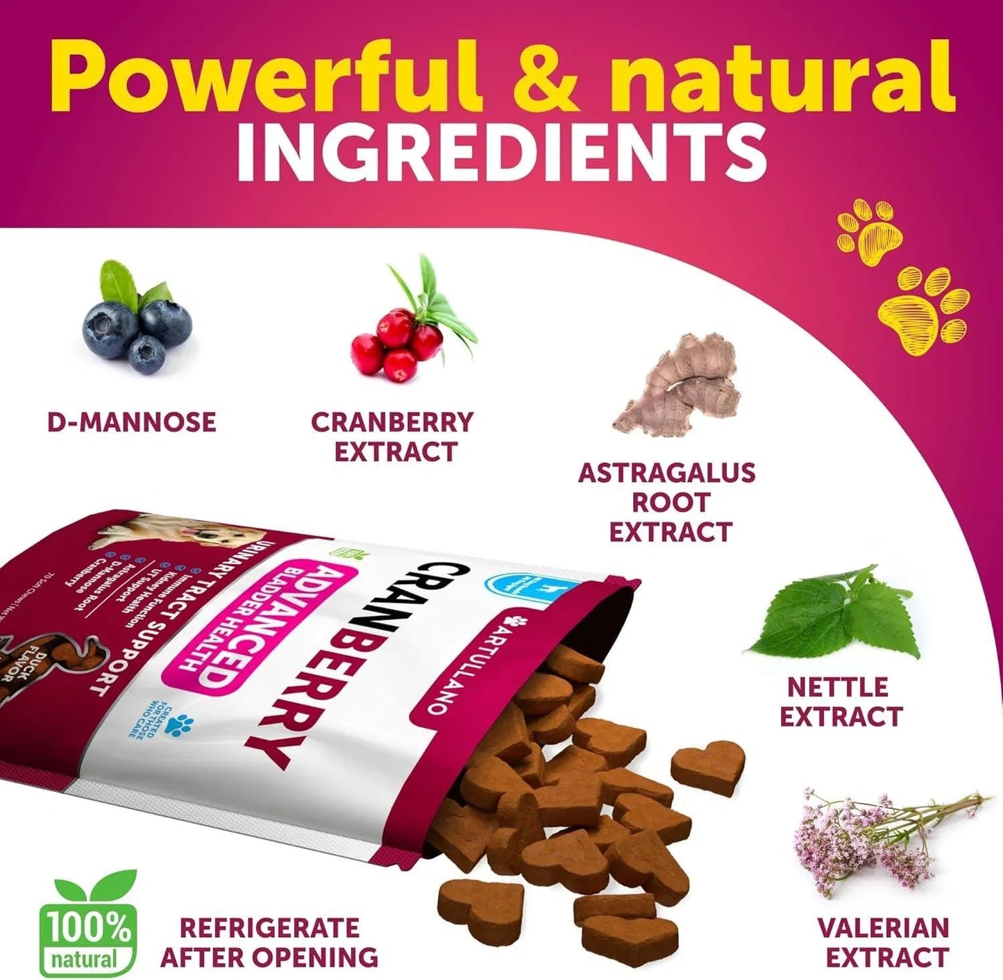 Dog UTI Cranberry Supplement