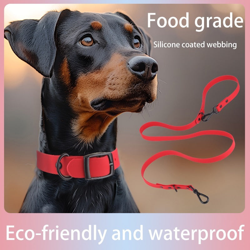 Pet Silicone Collar & Leash Set