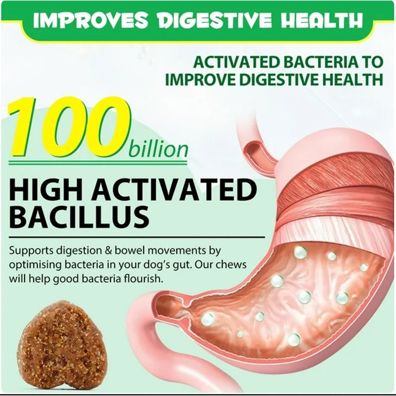 OEM Probiotics Chews for Pets