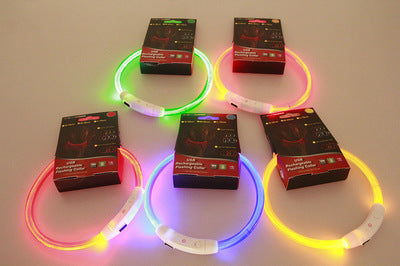 Pet LED Flashing Collar