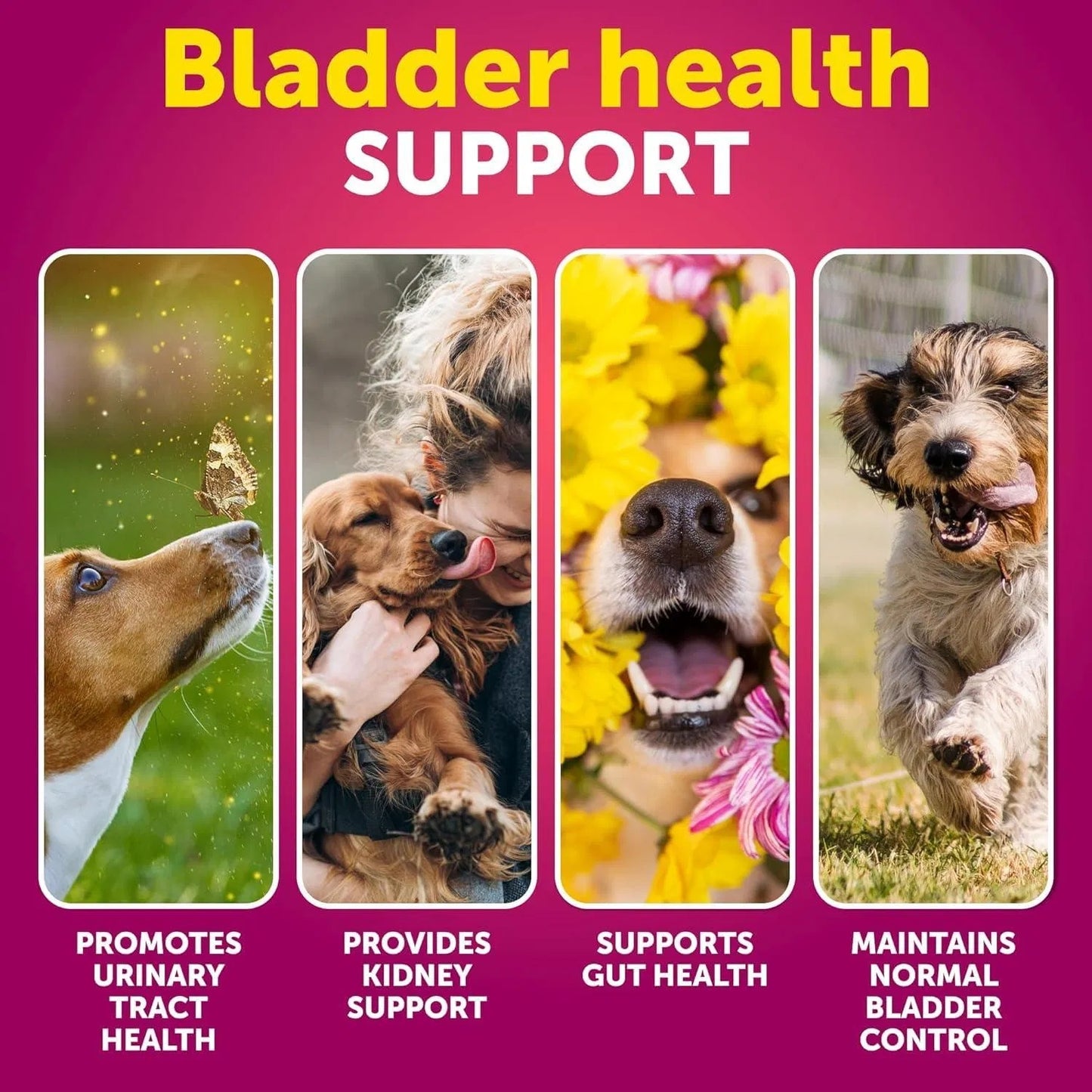 Dog UTI Cranberry Supplement