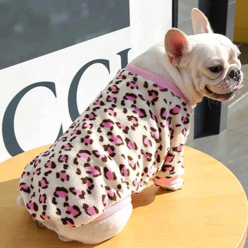 Pet Jackets for Autumn Winter