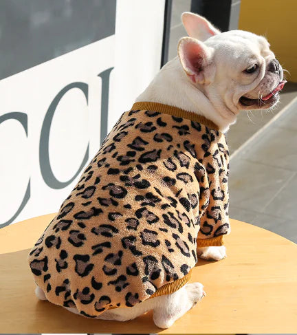 Pet Jackets for Autumn Winter