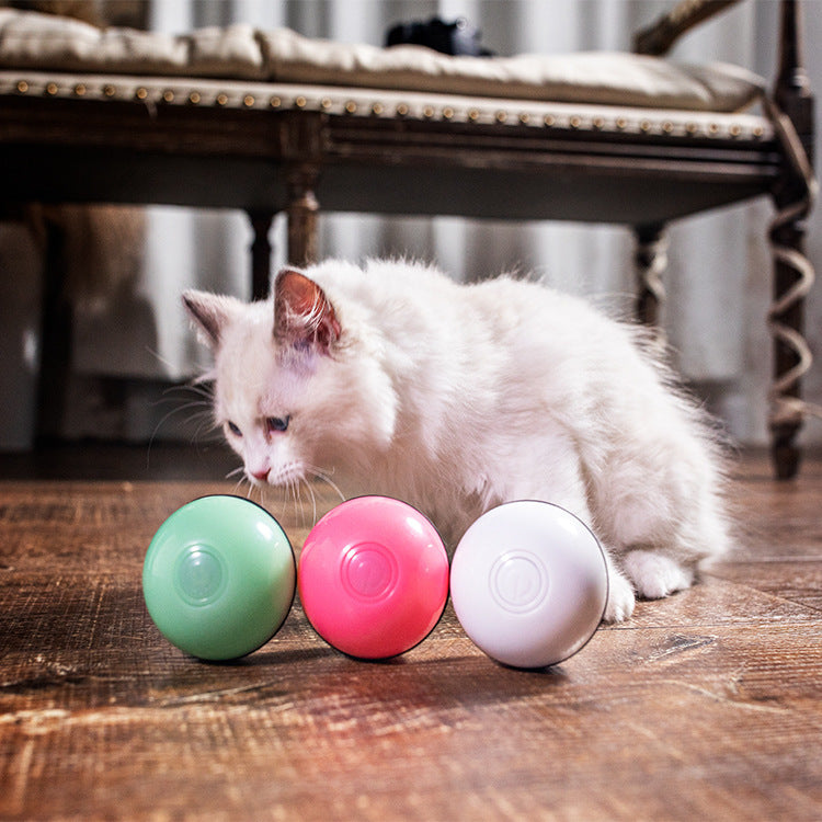 USB Laser Cat Toy