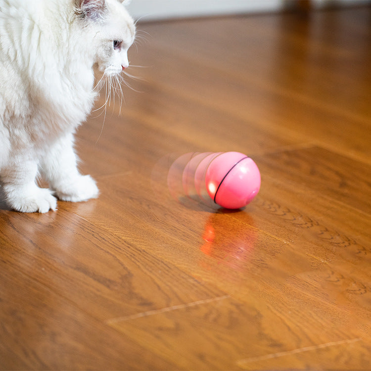 USB Laser Cat Toy