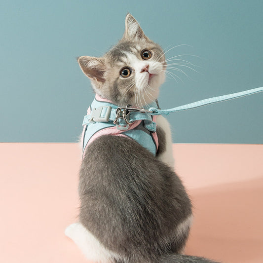 Cat Harness & Leash