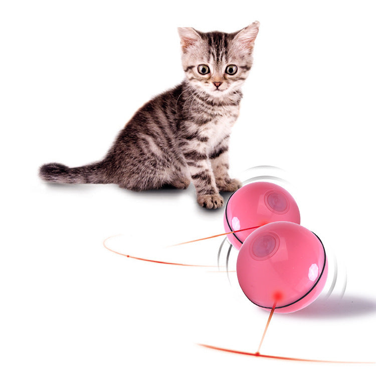 USB Laser Cat Toy