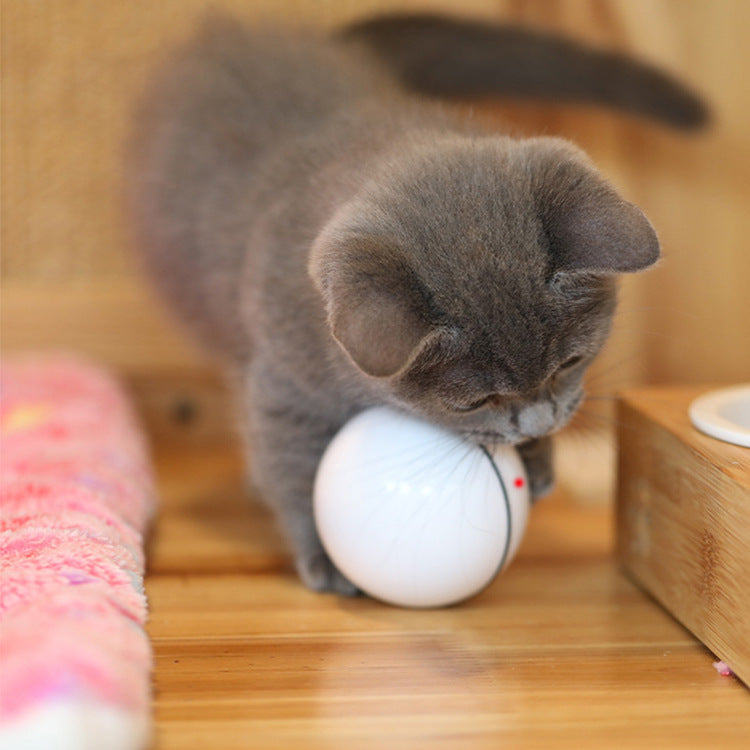 USB Laser Cat Toy