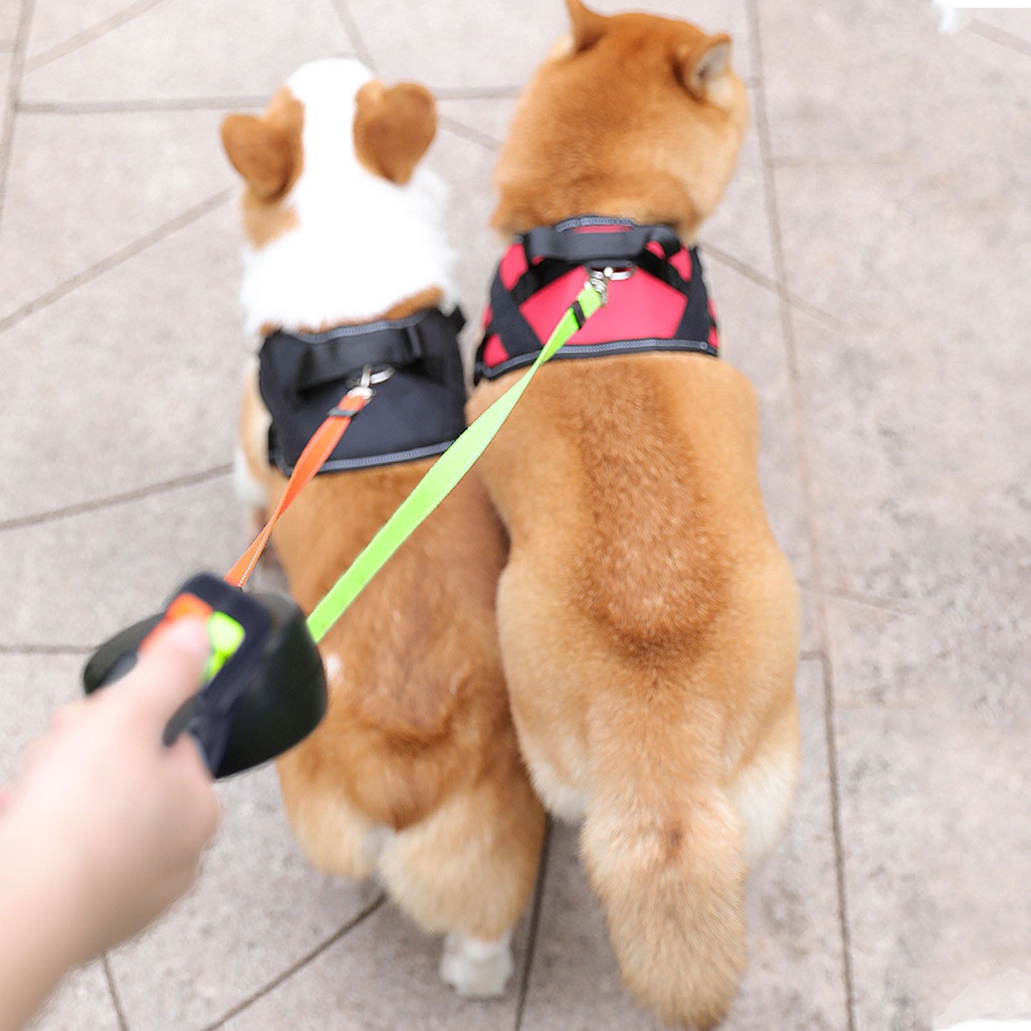 Pet Dog Double Head Leash
