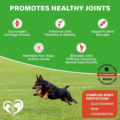 Dog Hip & Joint Supplement