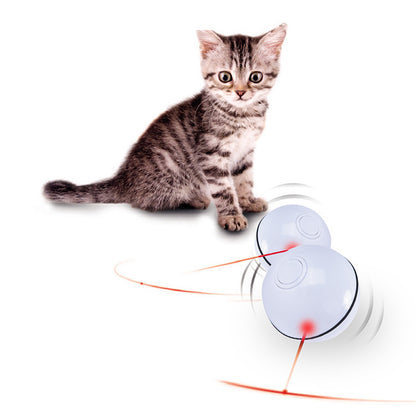 USB Laser Cat Toy