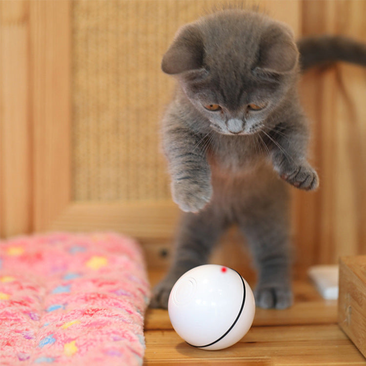 USB Laser Cat Toy