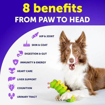 Dog Multivitamin Chewable with Glucosamine
