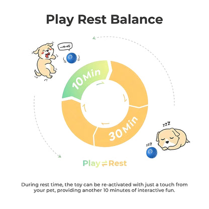 Dog Interactive Bouncing Ball