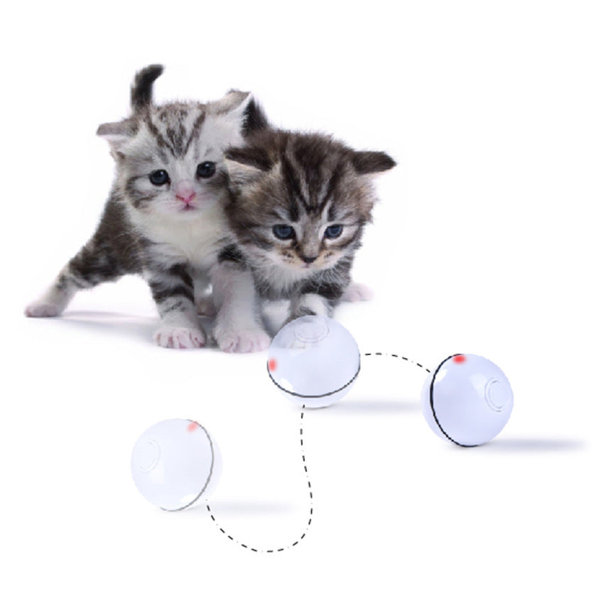 USB Laser Cat Toy