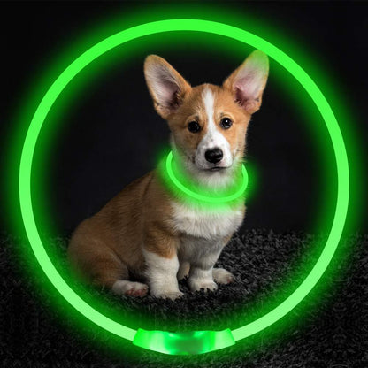 Pet LED Flashing Collar
