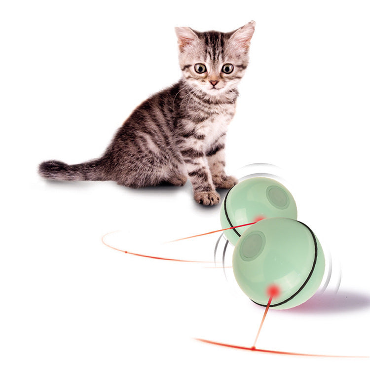 USB Laser Cat Toy